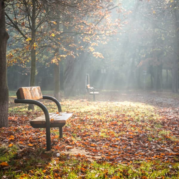 Grief and Loss
